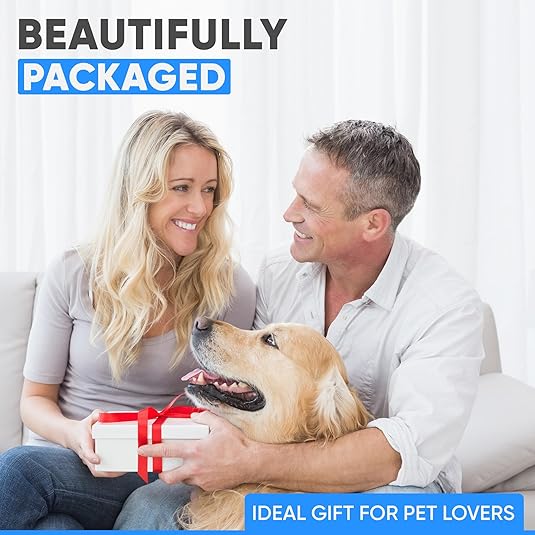 Deep Engraved Ring ID Tag – Durable Name Tag for Dog or Cat Collar