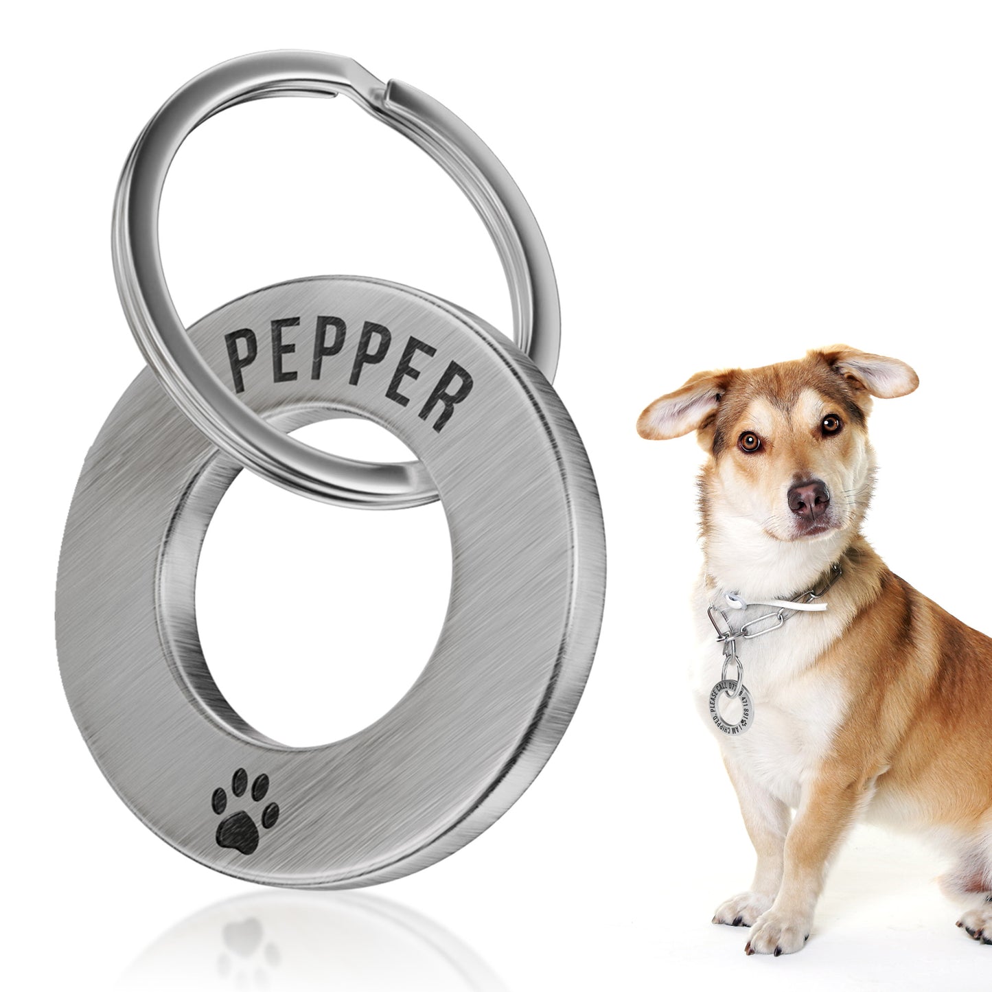 Deep Engraved Ring ID Tag – Durable Name Tag for Dog or Cat Collar