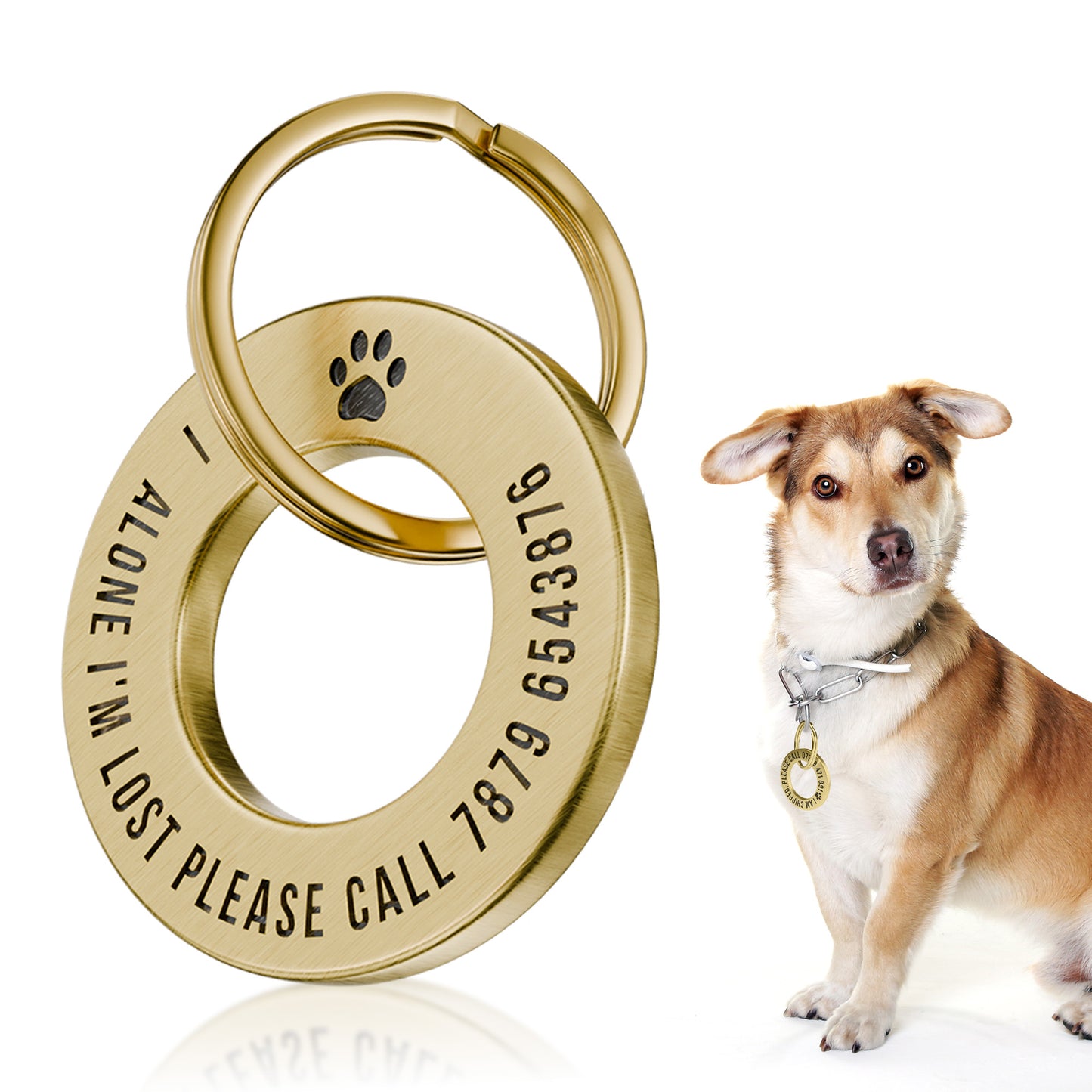 Deep Engraved Ring ID Tag – Durable Name Tag for Dog or Cat Collar