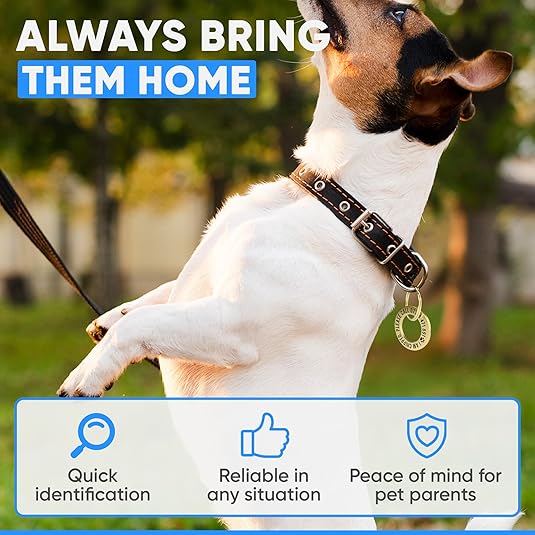 Deep Engraved Ring ID Tag – Durable Name Tag for Dog or Cat Collar