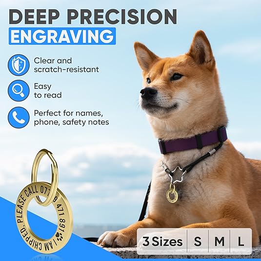 Deep Engraved Ring ID Tag – Durable Name Tag for Dog or Cat Collar