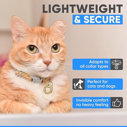 Deep Engraved Ring ID Tag – Durable Name Tag for Dog or Cat Collar